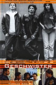 Brothers and Sisters 1997 on netflix