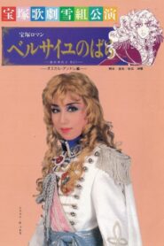The Rose of Versailles: Oscar and Andre 1991 on netflix