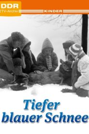 Deep Blue Snow 1981 on netflix