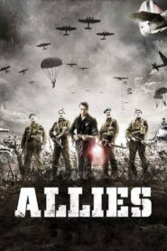 Allies 2014 on netflix