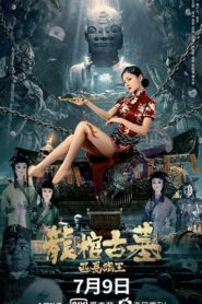 Tomb of the Dragon Coffin: The Wolf King of Western Xia 2021 on netflix