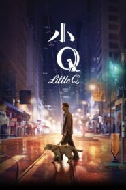 Little Q 2019 on netflix