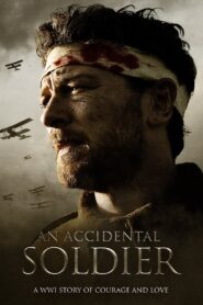 An Accidental Soldier 2013 on netflix