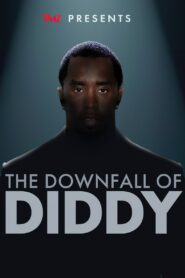 TMZ Presents: The Downfall of Diddy 2024 on netflix