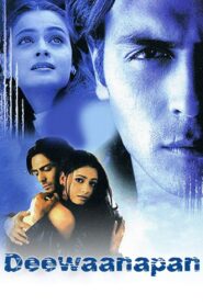 Deewaanapan 2001 on netflix