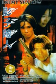 Enemy Shadow 1995 on netflix