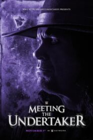 Meeting the Undertaker 2020 on netflix