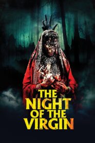 The Night of the Virgin 2016 on netflix