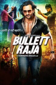 Bullett Raja 2013 on netflix