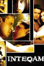 Inteqam: The Perfect Game 2004 on netflix