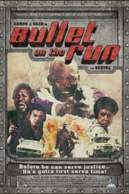 Bullet on the Run 1982 on netflix