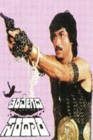 Sharavegada Saradara 1989 on netflix