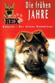 Baby Rex 1997 on netflix