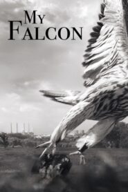 My Falcon 2023 on netflix
