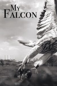 My Falcon 2023 on netflix