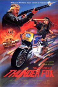 Ninja Knight Thunder Fox 1987 on netflix
