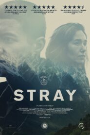 Stray 2018 on netflix