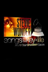 Stevie Wonder: Songs in the Key of Life – An All-Star Grammy Salute 2015 on netflix