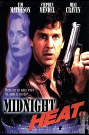 Midnight Heat 1996 on netflix