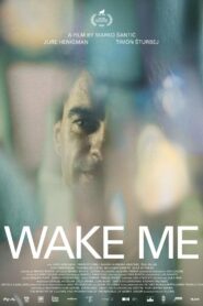 Wake Me 2022 on netflix