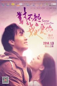 Sorry I Love You 2013 on netflix