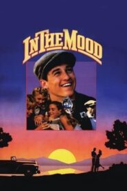 In the Mood 1987 on netflix