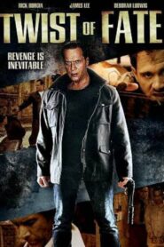 Twists of Fate 2012 on netflix