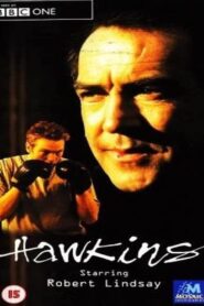 Hawkins 2001 on netflix