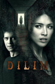 Dilim 2014 on netflix