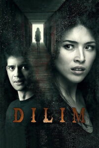 Dilim 2014 on netflix