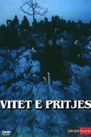 Years of Expectation 1990 on netflix