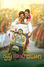Krishna Vrinda Vihari 2022 on netflix