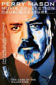 Perry Mason: The Case of the Telltale Talk Show Host 1993 on netflix