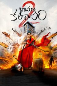 Bhamakalapam 2 2024 on netflix