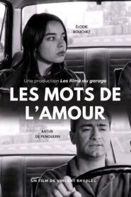 Les mots de l’amour 1994 on netflix