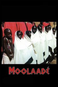 Moolaadé 2004 on netflix