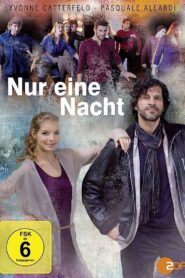 Nur eine Nacht 2013 on netflix
