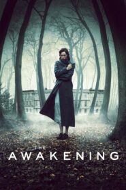 The Awakening 2011 on netflix