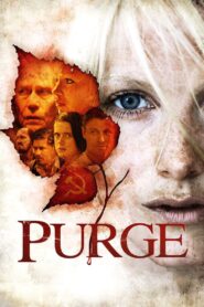 Purge 2012 on netflix