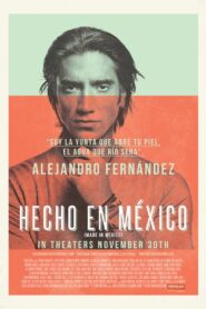 Made in Mexico 2012 on netflix
