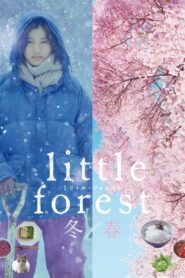 Little Forest: Winter/Spring 2015 on netflix
