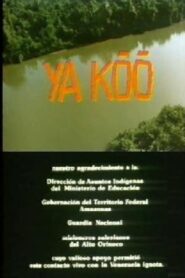 Ya Koo 1985 on netflix