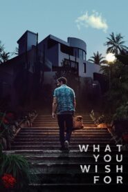 What You Wish For 2024 on netflix