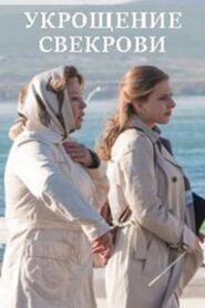 Укрощение свекрови 2019 on netflix