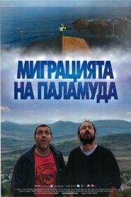 Migration of the Belted Bonito 2011 on netflix