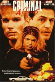 Criminal Affairs 1998 on netflix