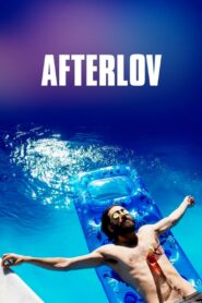 Afterlov 2017 on netflix