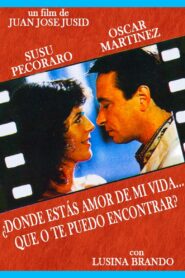 ¿Dónde estás amor de mi vida… que no te puedo encontrar? 1992 on netflix
