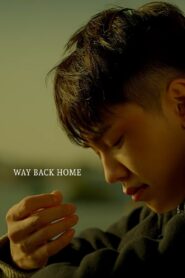 Way Back Home 2015 on netflix