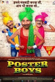 Poster Boys 2017 on netflix